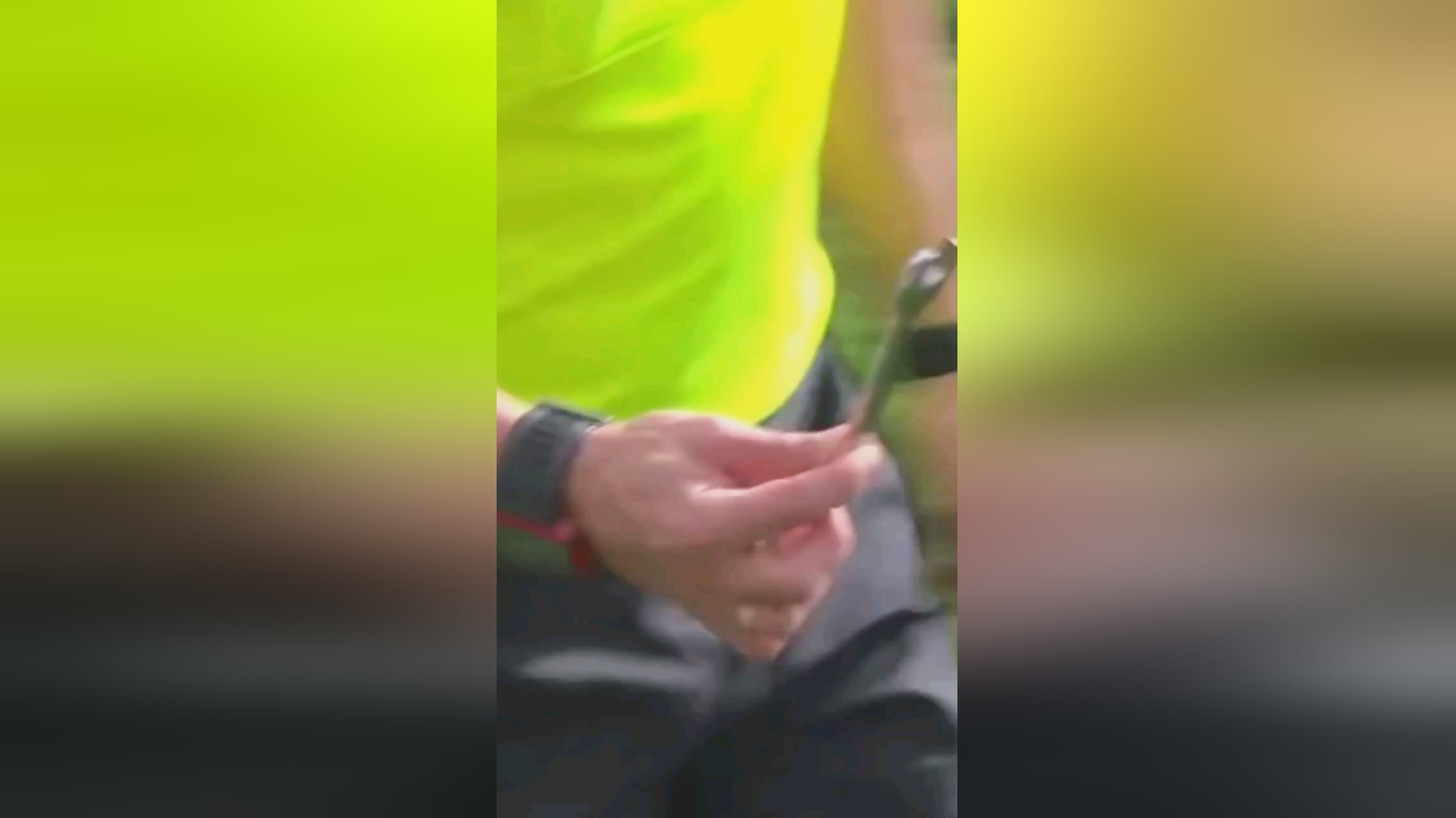 顺利通过